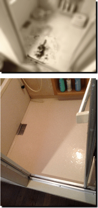 孤独死された浴槽の清掃後の画像
