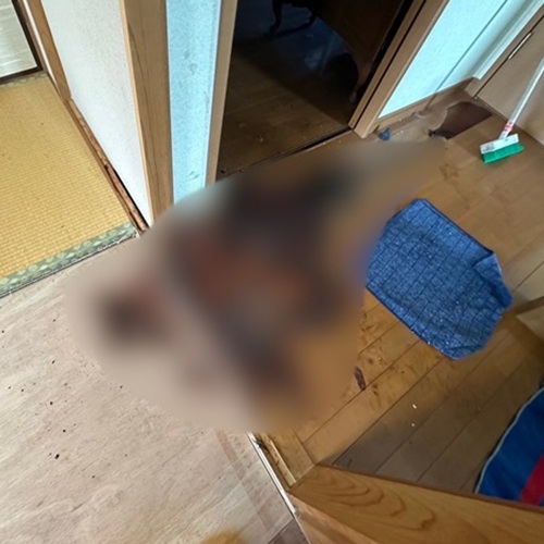 チーフトレーナー