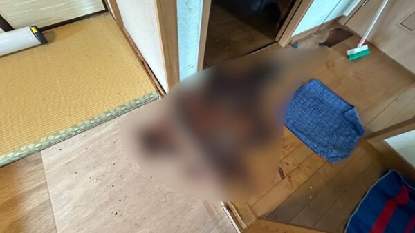 冬場とはまるで違う？真夏の特殊清掃が過酷な理由