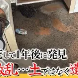 54歳で孤独死…死後1年経過して白骨で発見された衝撃の特殊清掃現場