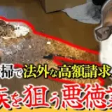 死後3週間経過の孤独死現場…弱った遺族につけ込む悪徳業者が提示した金額は⁉