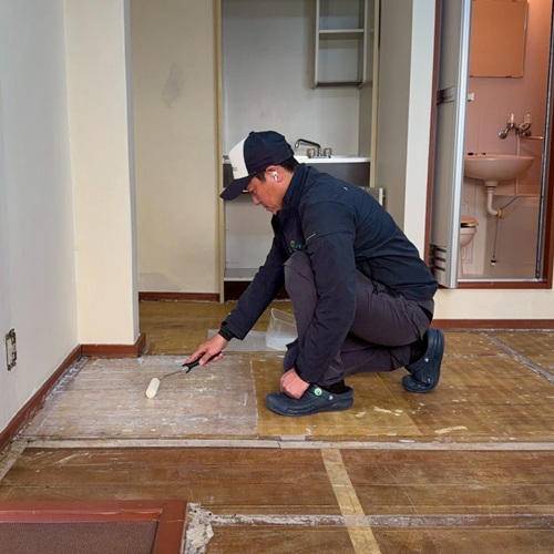 オドロックシートとシャダーン