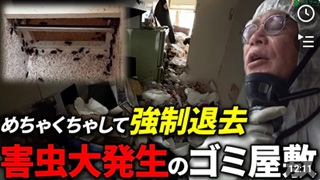 【閲覧注意】大家怒りの強制退去命令!?ゴキブリ大群の強襲に耐えながら挑むゴミ屋敷清掃