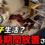 【緊急入電】孤独死現場で遺品を守る「66,000円の応急処置」と2段階清掃のリアル